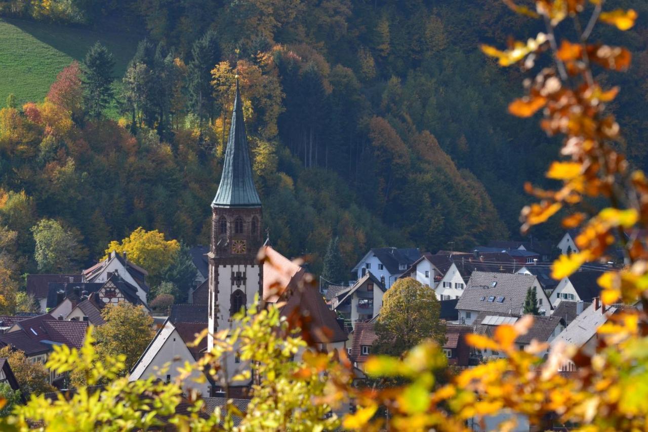 Apartament Haus Reichenbach Glottertal Zewnętrze zdjęcie