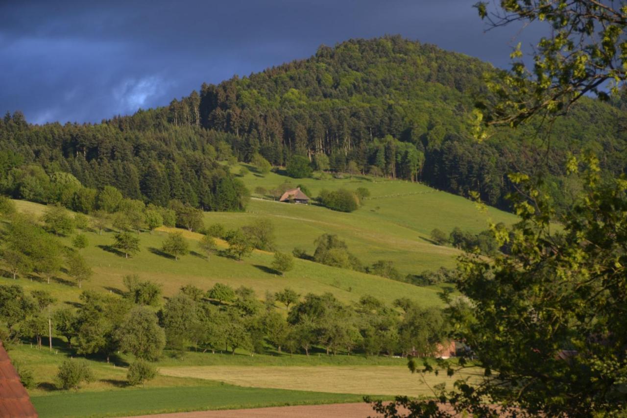 Apartament Haus Reichenbach Glottertal Zewnętrze zdjęcie